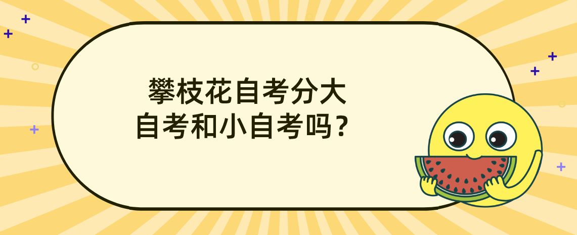 四川攀枝花自考分大自考和小自考吗？