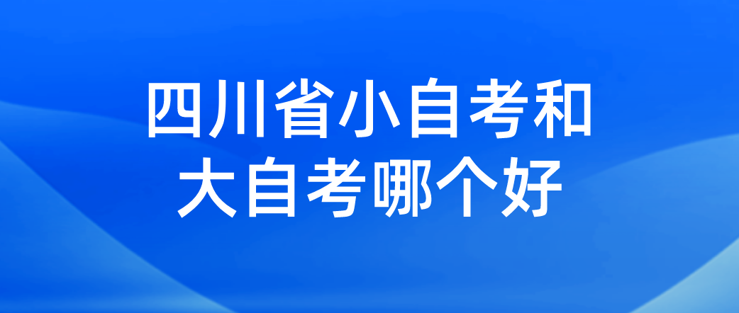 四川省小自考和大自考哪个好