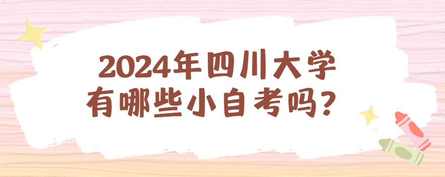 2024年四川大学有哪些小自考？